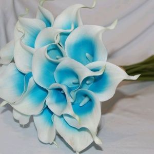 Meet your Posher, Jan